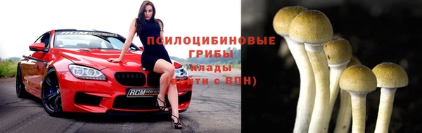 соль ск Михайлов