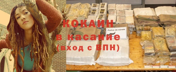 соль ск Михайлов